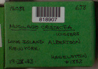 Image Associated With the Occurence
